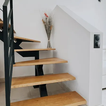 Domus Via Domitia * 나르본